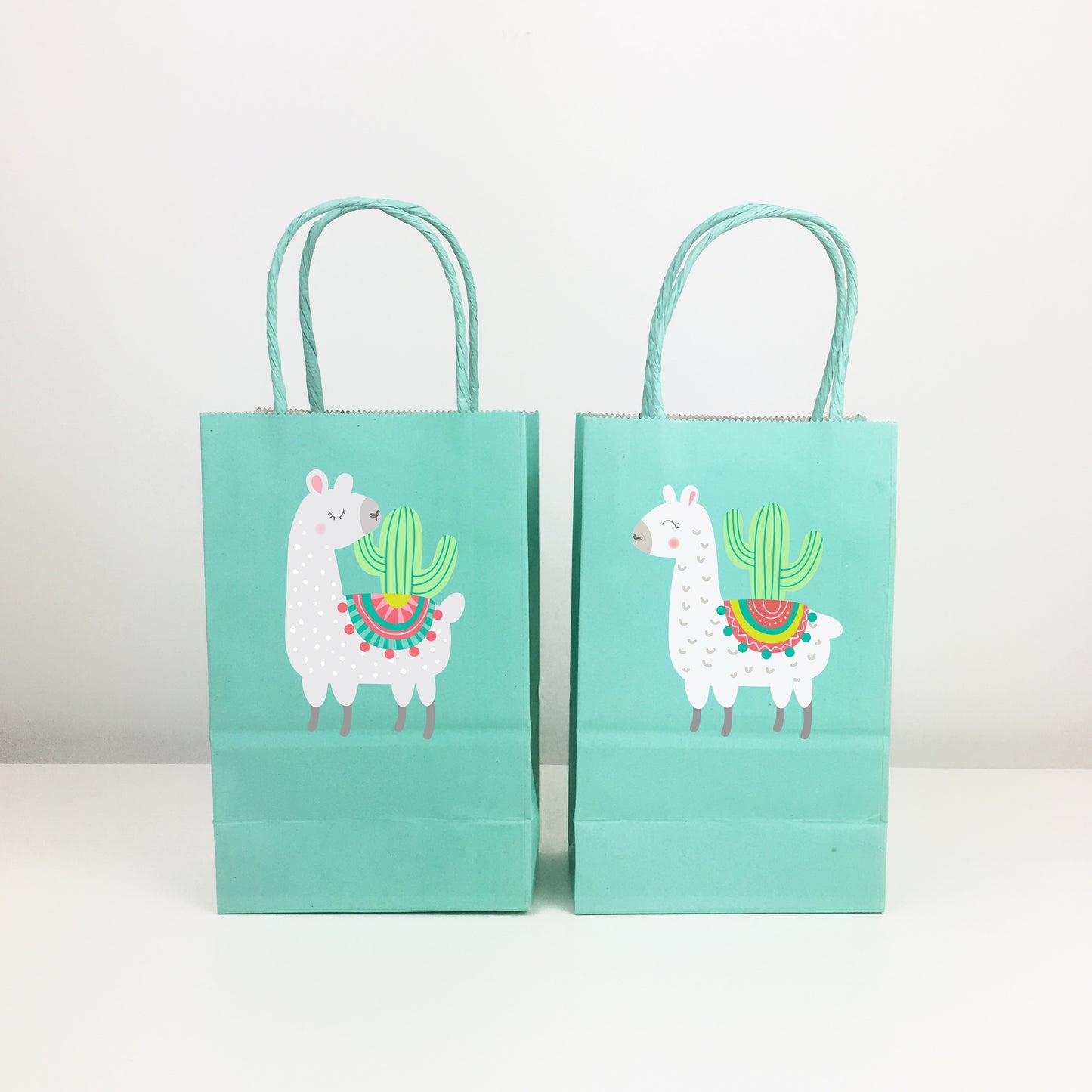 Llama & Cactus - Party in a Box